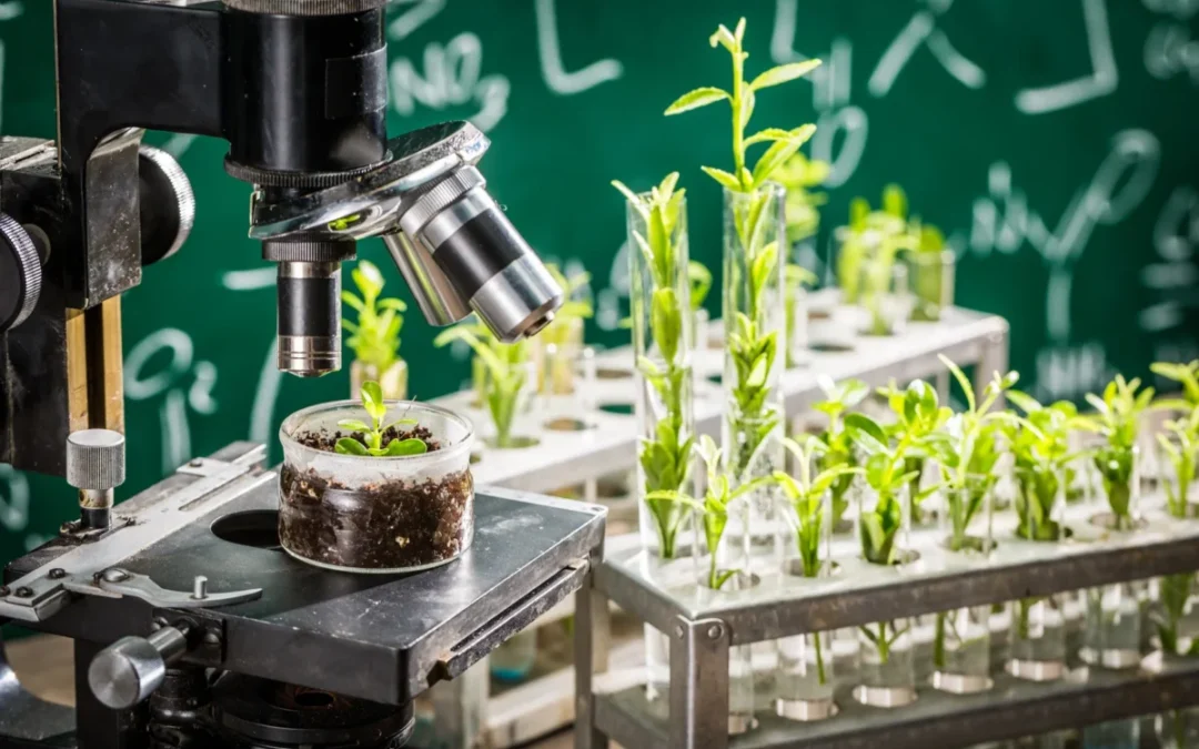 Révolution environnementale : comment le LIMS transforme la surveillance