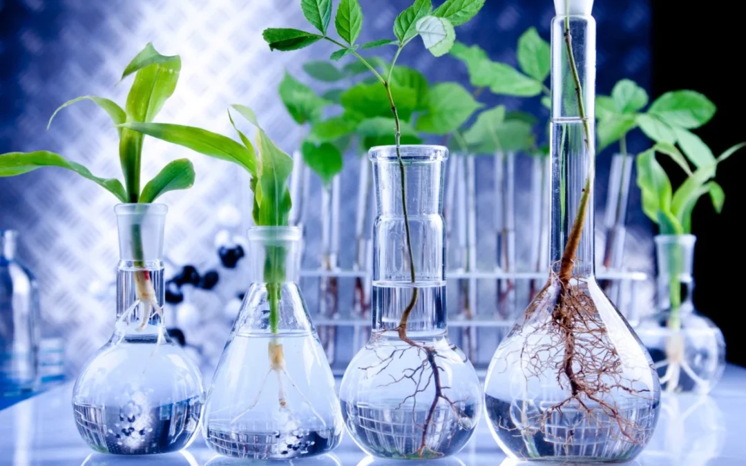 Pourquoi un LIMS est indispensable pour les laboratoires de contrôle qualité alimentaire