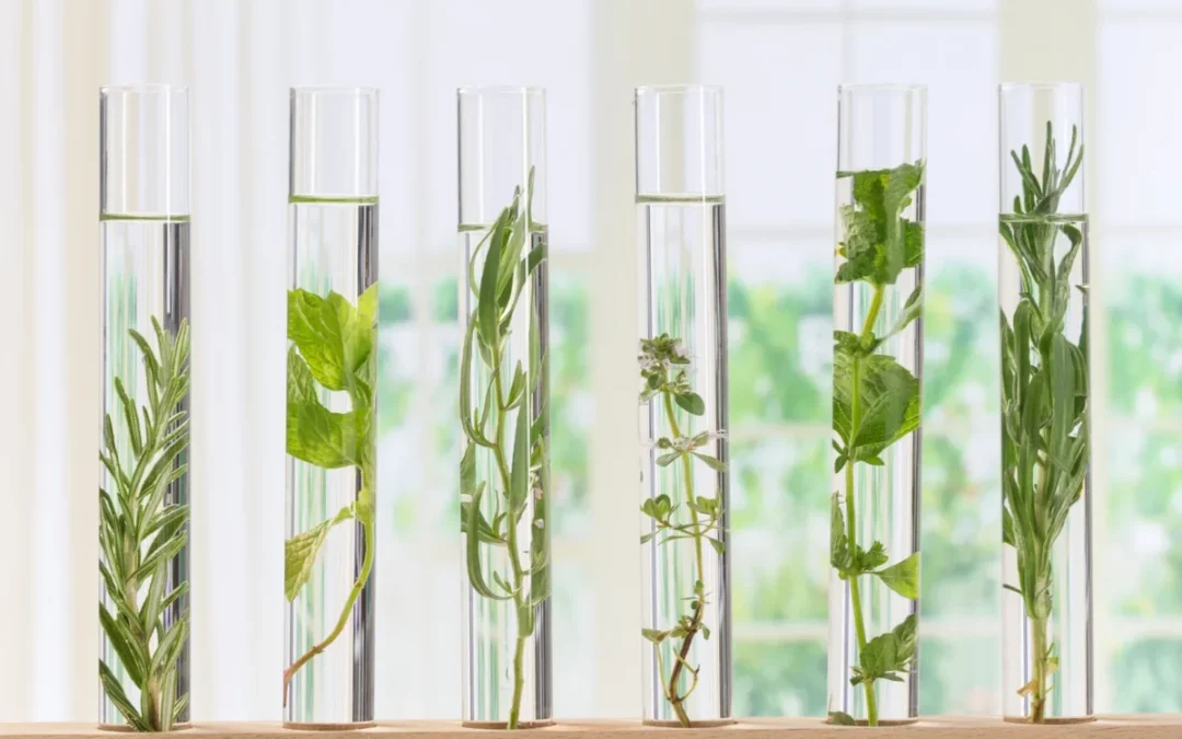 Révolutionnez la gestion des échantillons biologiques avec un LIMS performant
